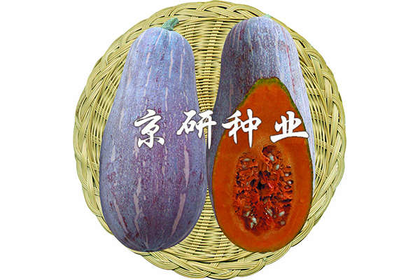 甜蜜1號